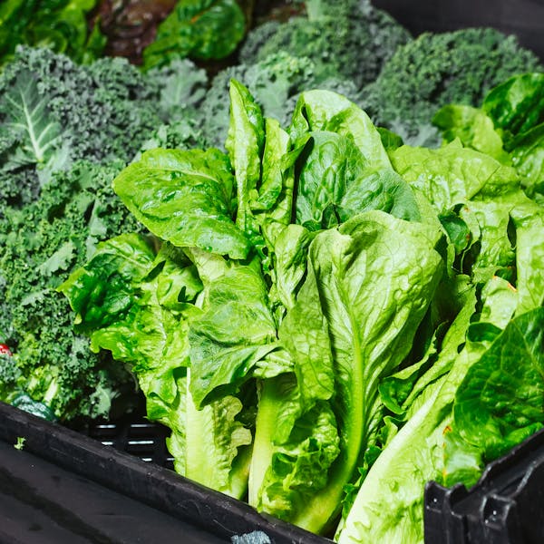 Verduras e folhas verdes frescas